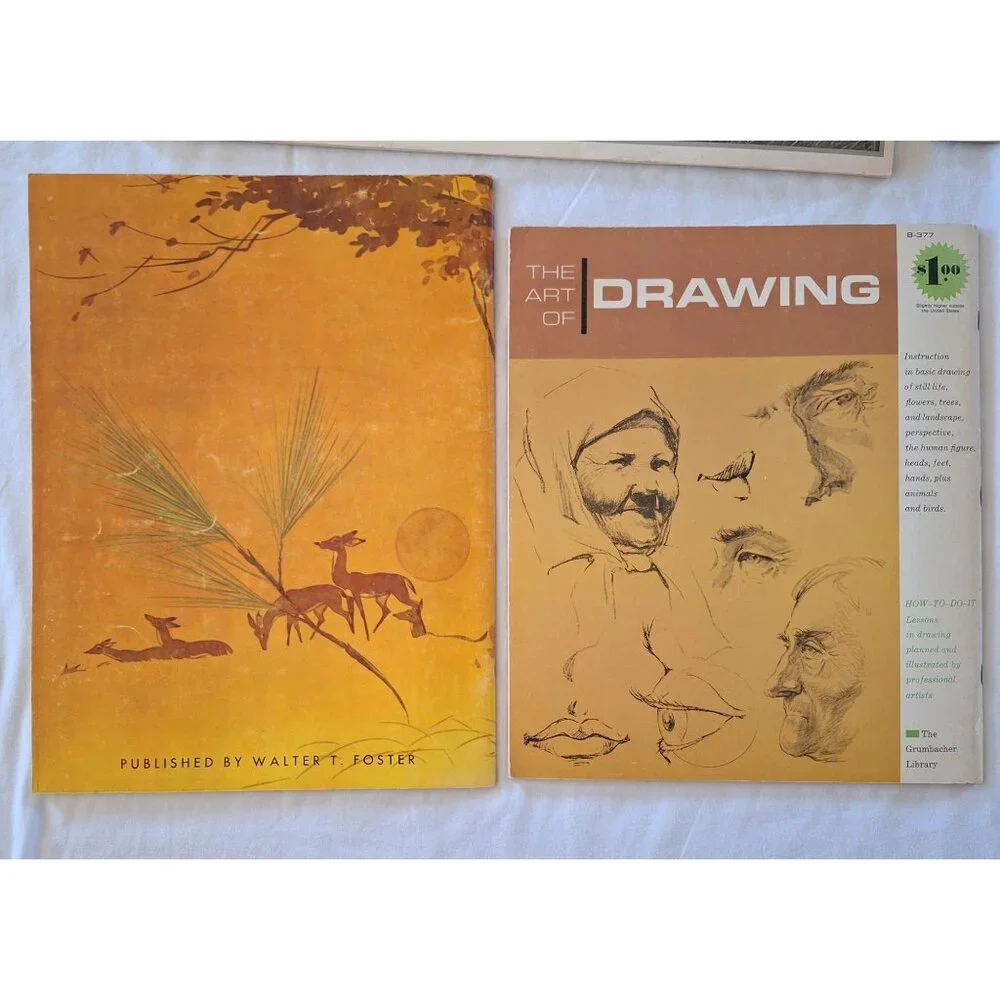 6 Drawing Vintage Book Lot Learn To Draw Sewell Foster Scheewe Trees Watercolor - Picture 3 of 15